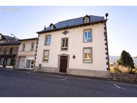 immeuble de rapport 265 m² vic-sur-cère