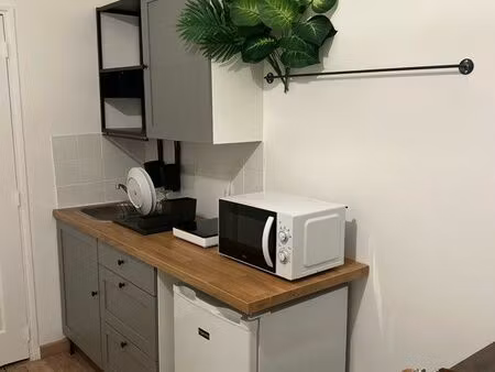 studio meublé 15 m2 - croix rousse