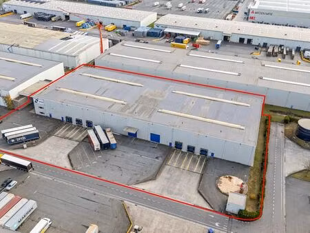 bien professionnel à louer à desteldonk € 17.110 (lgz0e) - panorama b2b gent industrie | z