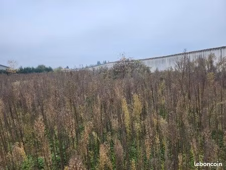 terrain 350 m² taponas