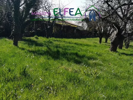 magnifique parcelle arborée à lens lestang