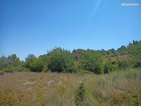 terrain parcelles agricole loisirs de 2 hectares