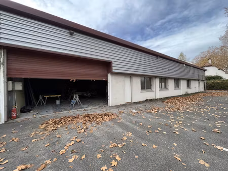 pau - local d'activite - entrepôt + bureaux