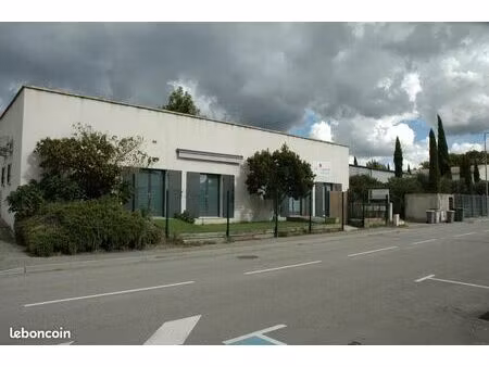 local professionnel 100m2