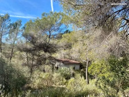 terrain agricole ? ou loisirs ? 30 min nice ?