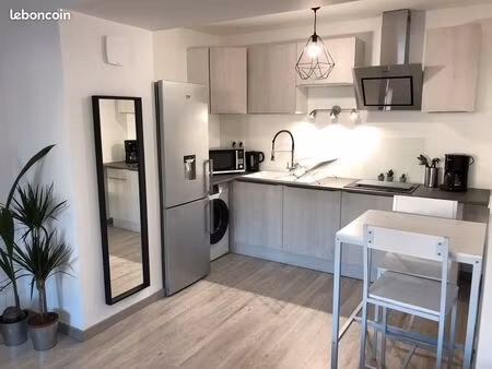 bel appartement meublé et rénové tout confort