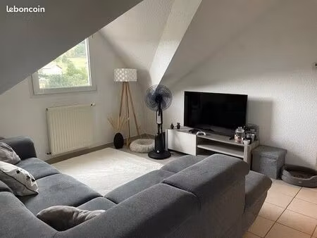 ville-en-sallaz 74250  f2 avec garage et cave