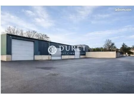 local 902 m² rives de l'yon