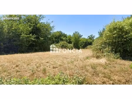 grand terrain constructible de 2 420 m²