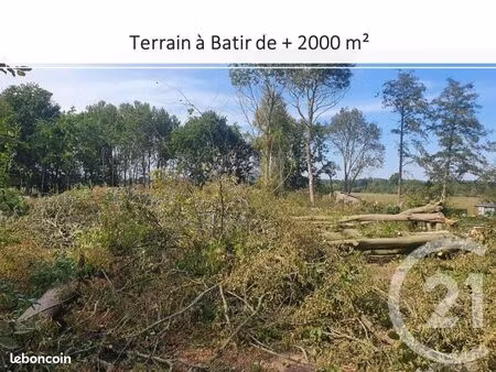 terrain 2 207 m² gournay en bray