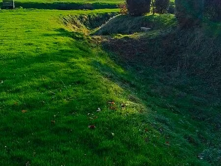 terrain constructible