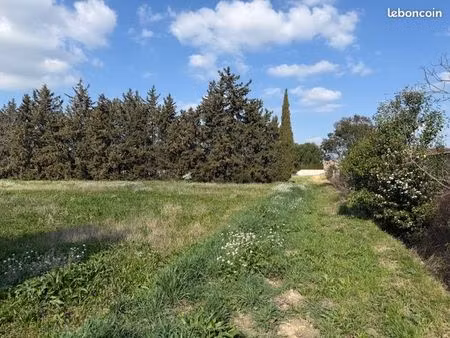 avignon montfavet terrain à bâtir viabilisé
