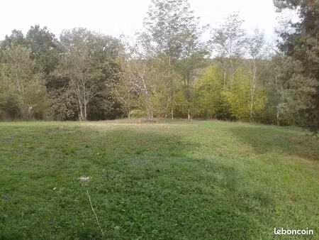 maison + cu 3000 m² au calme et verdoyant a saisir