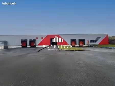 local d'activite 6100 m² cherré-au