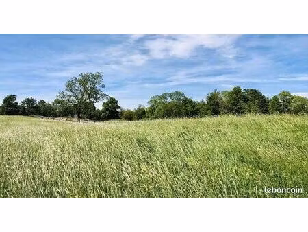 terrain non viabilisé