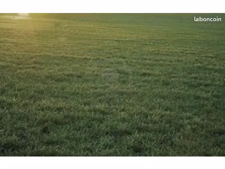 terrain 550 m² la tranche sur mer