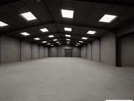 local d'activite 590 m² camon