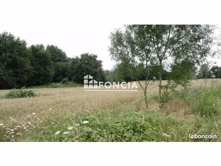 10 978 m2 de terrain constructible