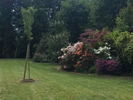 mont saint aignan - la vatine 3 pieces