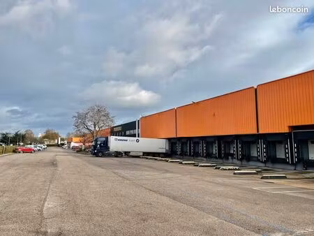 local logistique 11 569 m²