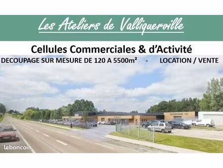 local d'activite 3000 m² valliquerville