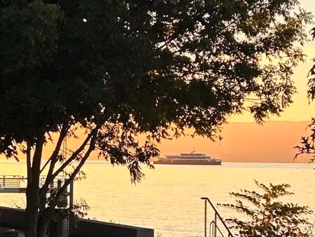 murs et fond - local commercial restaurant evian