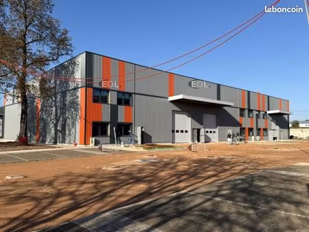 local bureaux 1 646 m²