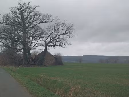 vente terrain 1876 m² à saint-pierre-des-nids (53370)  12 500 €
