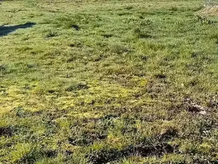 vente terrain 3159 m² à lunas (24130)  29 000 €