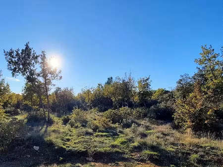 vente terrain 73730 m² à régusse (83630)  42 900 €