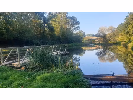 vente terrain à batir 21498 m² à saint-léonard-de-noblat (87400)  44 000 €