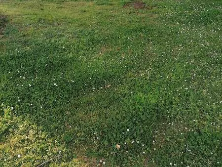 vente terrain à merlevenez (56700) : à vendre / merlevenez