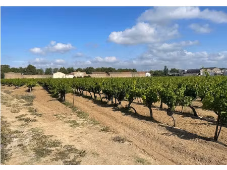 vente terrain 507 m² à canet (11200)  79 900 €