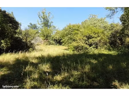 vente terrain 5600 m² à cenne-monestiés (11170)  59 000 €