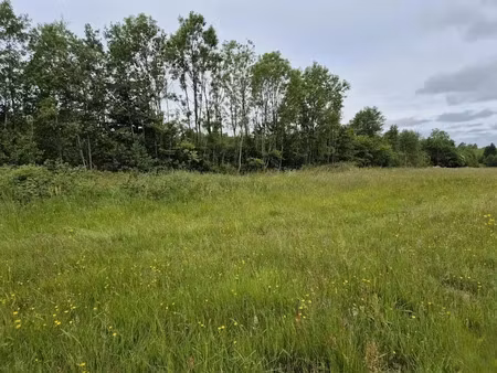 vente terrain 7600 m² à rocroi (08230)  60 000 €