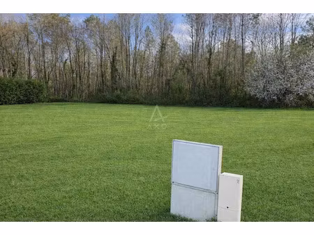 vente terrain 695 m² à moustey (40410)  75 000 €