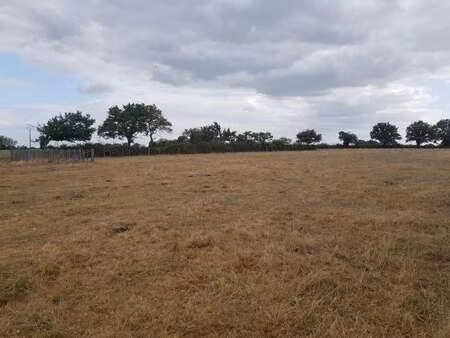 vente terrain à boussay (44190) : à vendre / 690m² boussay