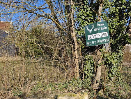 beau terrain entre senlis et chantilly