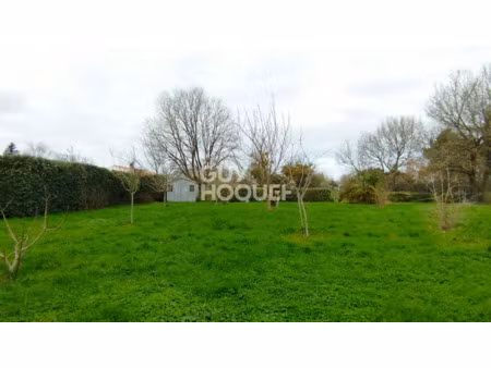 vente terrain 507 m² à saint-augustin (17570)  93 500 €