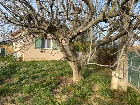 location villa 50 m2