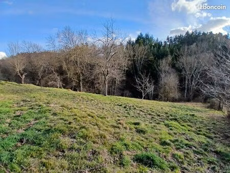 loue terrain agricole pour animaux