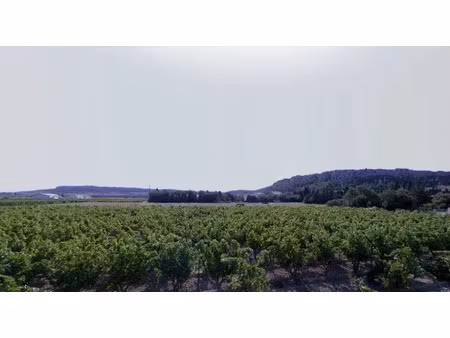 vente terrain 400 m² à roquefort-des-corbières (11540)  95 000 €