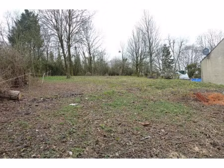 vente terrain 300 m² à dammartin-en-goële (77230)  114 000 €