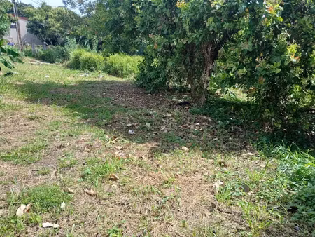 vente terrain à ducos (97224)  128 200 €