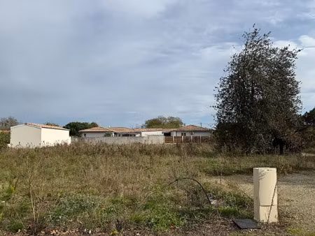 vente terrain 487 m² à saint-selve (33650)  130 000 €