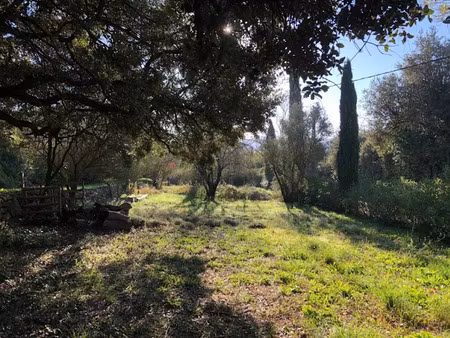 vente terrain 880 m² à carnoules (83660)  170 000 €