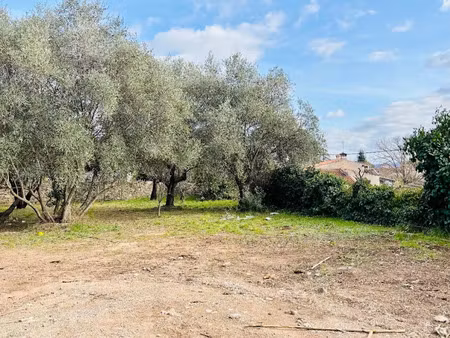 vente terrain 449 m² à cuers (83390)  179 000 €