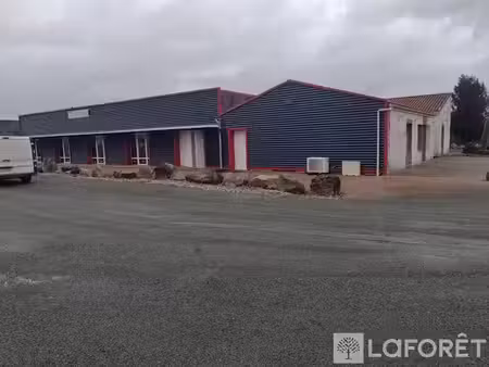 vente locaux professionnels 7 pièces 623 m² à bernay-saint-martin (17330)  577 500 €