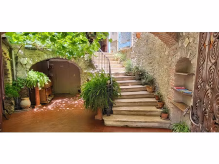 vente locaux professionnels 900 m² à ceret (66400)  215 000 €