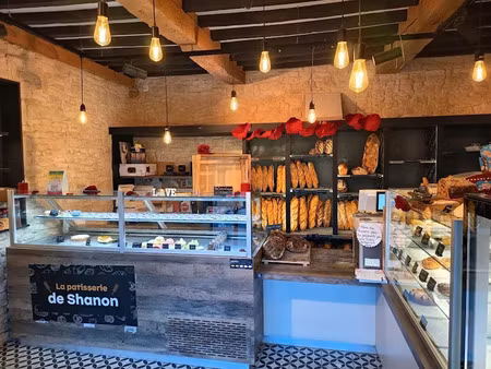 vente locaux professionnels 10 pièces 132 m² à saint-albain (71260)  255 000 €